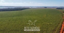 Fazenda à Venda 1.480 Hectares ao Lado do Lago de Furnas Lavoura e Turismo | Boa Esperança/MG Fazenda à Venda 1.480 Hectares ao Lado do Lago de Furnas Lavoura e Turismo | Boa Esperança/MG