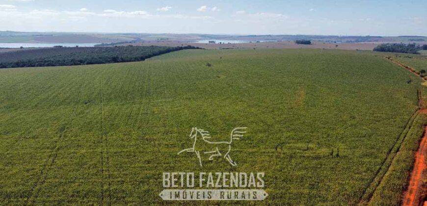 Fazenda à Venda 1.480 Hectares ao Lado do Lago de Furnas Lavoura e Turismo | Boa Esperança/MG Fazenda à Venda 1.480 Hectares ao Lado do Lago de Furnas Lavoura e Turismo | Boa Esperança/MG