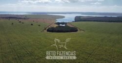 Fazenda à Venda 1.480 Hectares ao Lado do Lago de Furnas Lavoura e Turismo | Boa Esperança/MG Fazenda à Venda 1.480 Hectares ao Lado do Lago de Furnas Lavoura e Turismo | Boa Esperança/MG
