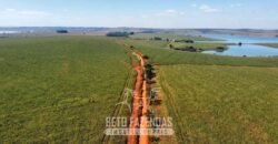 Fazenda à Venda 1.480 Hectares ao Lado do Lago de Furnas Lavoura e Turismo | Boa Esperança/MG Fazenda à Venda 1.480 Hectares ao Lado do Lago de Furnas Lavoura e Turismo | Boa Esperança/MG