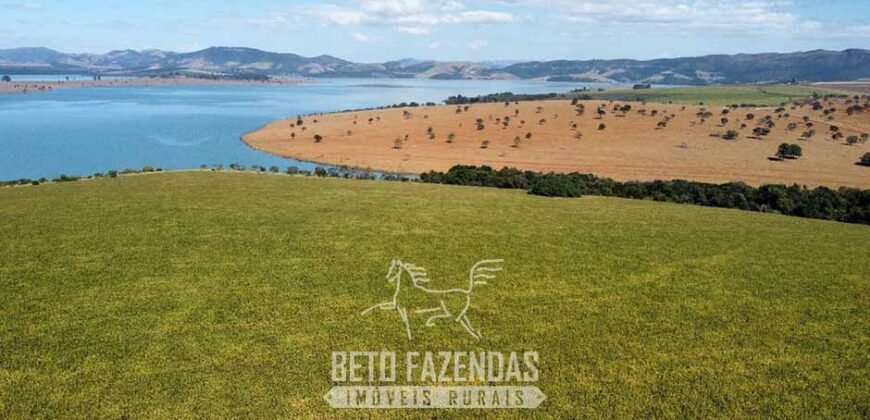 Fazenda à Venda 1.480 Hectares ao Lado do Lago de Furnas Lavoura e Turismo | Boa Esperança/MG Fazenda à Venda 1.480 Hectares ao Lado do Lago de Furnas Lavoura e Turismo | Boa Esperança/MG