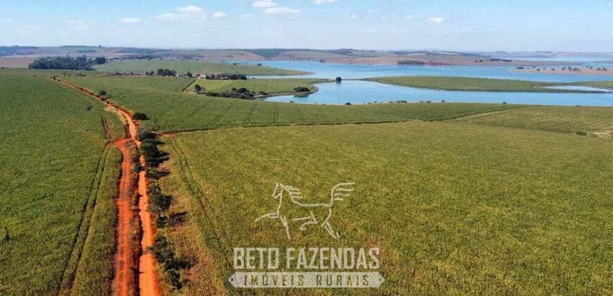 Fazenda à Venda 1.480 Hectares ao Lado do Lago de Furnas Lavoura e Turismo | Boa Esperança/MG Fazenda à Venda 1.480 Hectares ao Lado do Lago de Furnas Lavoura e Turismo | Boa Esperança/MG