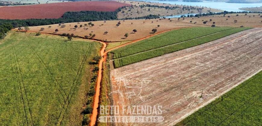 Fazenda à Venda 1.480 Hectares ao Lado do Lago de Furnas Lavoura e Turismo | Boa Esperança/MG Fazenda à Venda 1.480 Hectares ao Lado do Lago de Furnas Lavoura e Turismo | Boa Esperança/MG