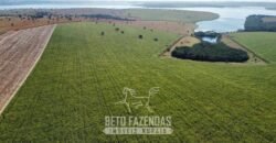 Fazenda à Venda 1.480 Hectares ao Lado do Lago de Furnas Lavoura e Turismo | Boa Esperança/MG Fazenda à Venda 1.480 Hectares ao Lado do Lago de Furnas Lavoura e Turismo | Boa Esperança/MG