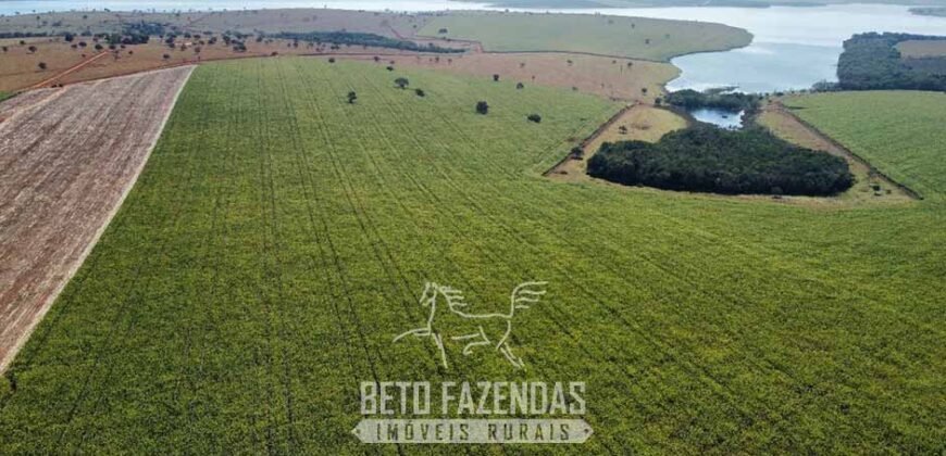 Fazenda à Venda 1.480 Hectares ao Lado do Lago de Furnas Lavoura e Turismo | Boa Esperança/MG Fazenda à Venda 1.480 Hectares ao Lado do Lago de Furnas Lavoura e Turismo | Boa Esperança/MG