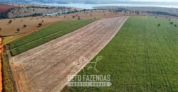 Fazenda à Venda 1.480 Hectares ao Lado do Lago de Furnas Lavoura e Turismo | Boa Esperança/MG Fazenda à Venda 1.480 Hectares ao Lado do Lago de Furnas Lavoura e Turismo | Boa Esperança/MG
