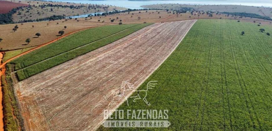 Fazenda à Venda 1.480 Hectares ao Lado do Lago de Furnas Lavoura e Turismo | Boa Esperança/MG Fazenda à Venda 1.480 Hectares ao Lado do Lago de Furnas Lavoura e Turismo | Boa Esperança/MG