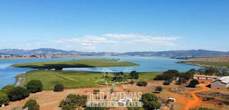 Fazenda à Venda 1.480 Hectares ao Lado do Lago de Furnas Lavoura e Turismo | Boa Esperança/MG Fazenda à Venda 1.480 Hectares ao Lado do Lago de Furnas Lavoura e Turismo | Boa Esperança/MG