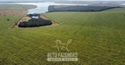 Fazenda à Venda 1.480 Hectares ao Lado do Lago de Furnas Lavoura e Turismo | Boa Esperança/MG Fazenda à Venda 1.480 Hectares ao Lado do Lago de Furnas Lavoura e Turismo | Boa Esperança/MG