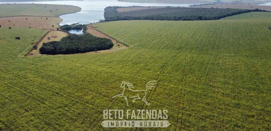 Fazenda à Venda 1.480 Hectares ao Lado do Lago de Furnas Lavoura e Turismo | Boa Esperança/MG Fazenda à Venda 1.480 Hectares ao Lado do Lago de Furnas Lavoura e Turismo | Boa Esperança/MG