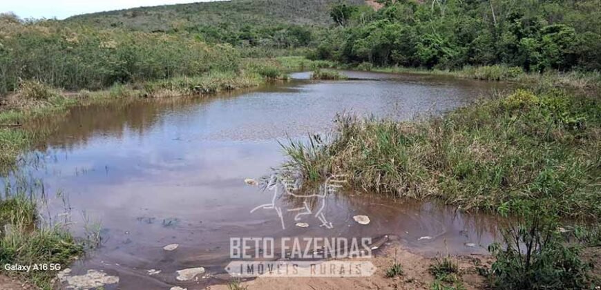 Fazenda à Venda 1.700 Hectares para Café e Eucalípto com muita Água | Divisa Alegre / MG Fazenda à Venda 1.700 Hectares para Café e Eucalípto com muita Água | Divisa Alegre / MG