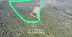 Fazenda à Venda 1.700 Hectares para Café e Eucalípto com muita Água | Divisa Alegre / MG Fazenda à Venda 1.700 Hectares para Café e Eucalípto com muita Água | Divisa Alegre / MG