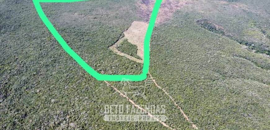 Fazenda à Venda 1.700 Hectares para Café e Eucalípto com muita Água | Divisa Alegre / MG Fazenda à Venda 1.700 Hectares para Café e Eucalípto com muita Água | Divisa Alegre / MG