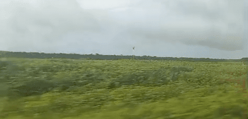 Fazenda à Venda 12.565 Hectares Dupla Aptidão com Pista de Pouso | São Geraldo do Araguaia/ PA