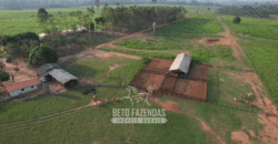 Fazenda à Venda 2.100 Alqueires Estrutura Completa em Pecuária | São Geraldo do Araguaia/PA