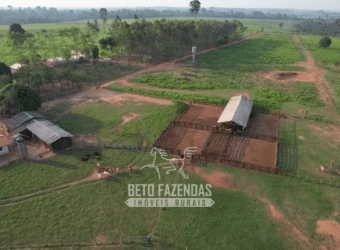 Fazenda à Venda 2.100 Alqueires Estrutura Completa em Pecuária | São Geraldo do Araguaia/PA Fazenda à Venda 2.100 Alqueires Estrutura Completa em Pecuária | São Geraldo do Araguaia/PA