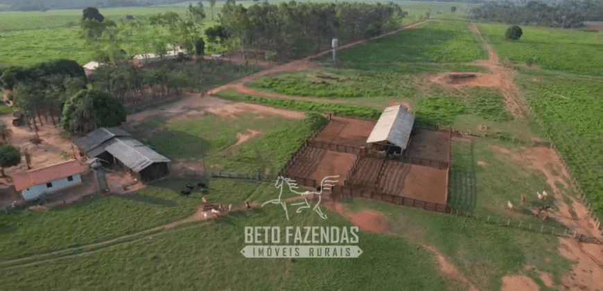 Fazenda à Venda 2.100 Alqueires Estrutura Completa em Pecuária | São Geraldo do Araguaia/PA
