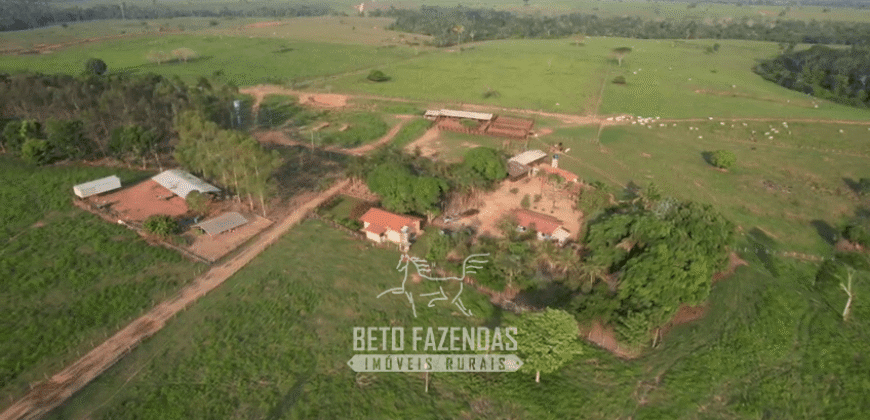 Fazenda à Venda 2.100 Alqueires Estrutura Completa em Pecuária | São Geraldo do Araguaia/PA
