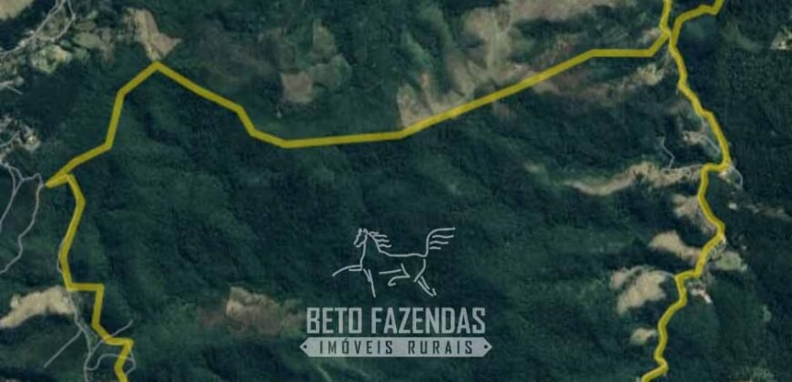 Venda de Área 300 Alqueires para Compensação de Carbono | Nazaré Paulista/ SP