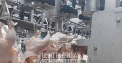 Frigorífico à Venda 7.000 m² Habilitação SISBI Alto Potencial de Ampliação | Campo Grande /MS