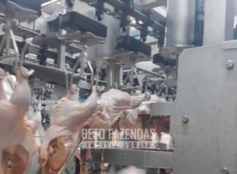 Frigorífico à Venda 7.000 m² Habilitação SISBI Alto Potencial de Ampliação | Campo Grande /MS