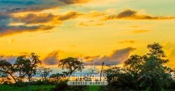 Maior Área de Floresta Privada do Mundo à Venda c/ 1 Milhão de Hectares na Amazônia/ AM