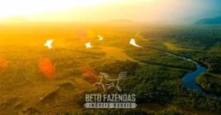 Maior Área de Floresta Privada do Mundo à Venda c/ 1 Milhão de Hectares na Amazônia/ AM