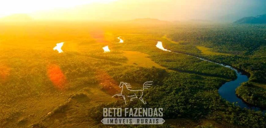 Maior Área de Floresta Privada do Mundo à Venda c/ 1 Milhão de Hectares na Amazônia/ AM