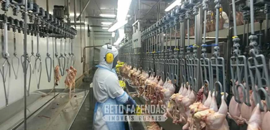 Frigorífico à Venda Bovino e Suino Certificado Mercado Internacional | Região Sul