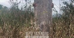 Fazenda de Café à Venda 1.100 Hectares Infraestrutura Completa e Documentada | Capelinha/ MG