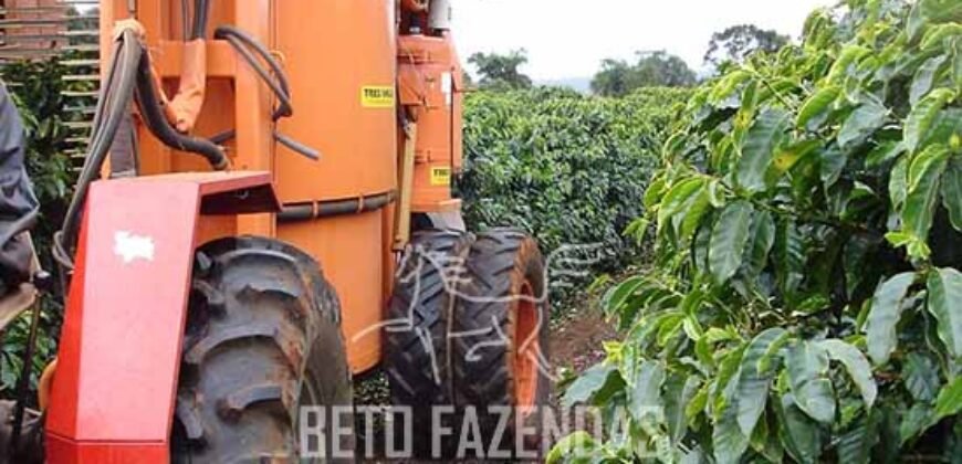 Fazenda de Café à Venda 1.100 Hectares Infraestrutura Completa e Documentada | Capelinha/ MG