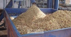 Fazenda de Café à Venda 1.100 Hectares Infraestrutura Completa e Documentada | Capelinha/ MG