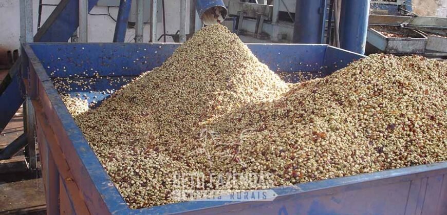 Fazenda de Café à Venda 1.100 Hectares Infraestrutura Completa e Documentada | Capelinha/ MG