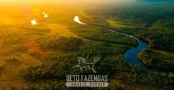 Maior Área de Floresta Privada do Mundo à Venda c/ 1 Milhão de Hectares na Amazônia/ AM