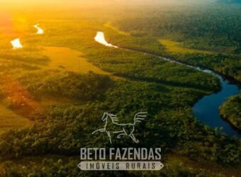 Maior Área de Floresta Privada do Mundo à Venda c/ 1 Milhão de Hectares na Amazônia/ AM