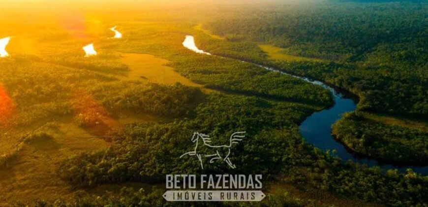 Maior Área de Floresta Privada do Mundo à Venda c/ 1 Milhão de Hectares na Amazônia/ AM