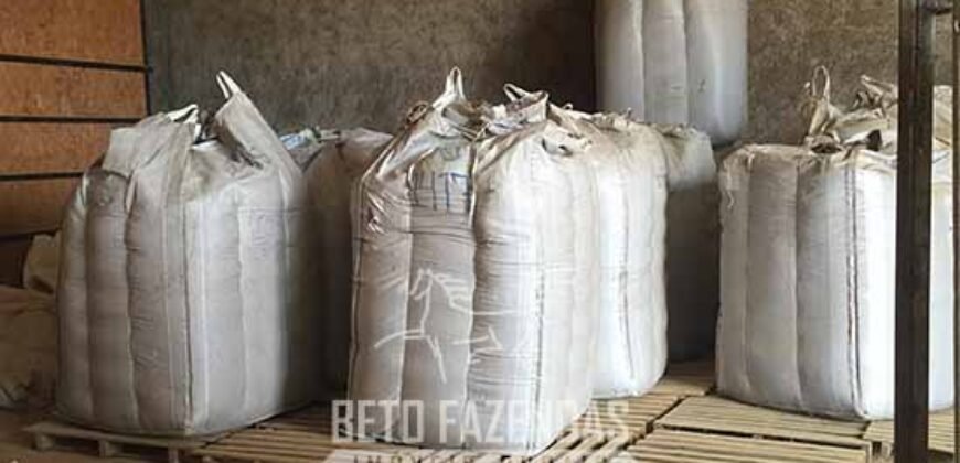 Fazenda de Café à Venda 1.100 Hectares Infraestrutura Completa e Documentada | Capelinha/ MG