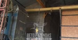 Fazenda de Café à Venda 1.100 Hectares Infraestrutura Completa e Documentada | Capelinha/ MG