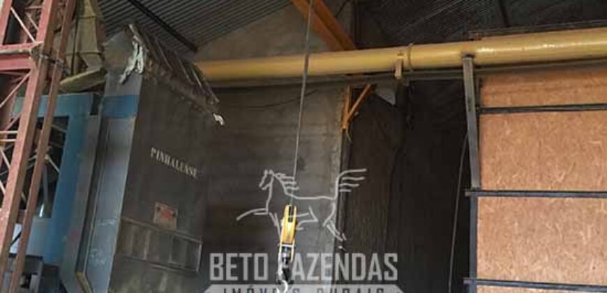 Fazenda de Café à Venda 1.100 Hectares Infraestrutura Completa e Documentada | Capelinha/ MG