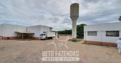 Frigorífico Bovino à Venda 86.000 m² com Projeto de Expanão Aprovado | Aquidauana/MS