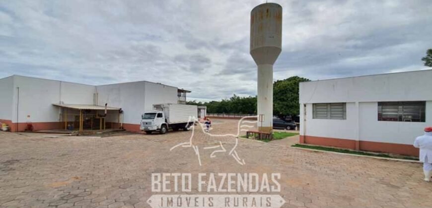 Frigorífico Bovino à Venda 86.000 m² com Projeto de Expanão Aprovado | Aquidauana/MS