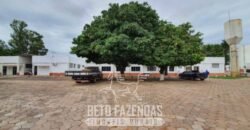 Frigorífico Bovino à Venda 86.000 m² com Projeto de Expanão Aprovado | Aquidauana/MS