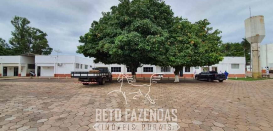 Frigorífico Bovino à Venda 86.000 m² com Projeto de Expanão Aprovado | Aquidauana/MS