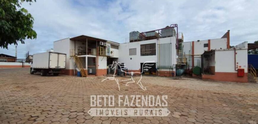 Frigorífico Bovino à Venda 86.000 m² com Projeto de Expanão Aprovado | Aquidauana/MS