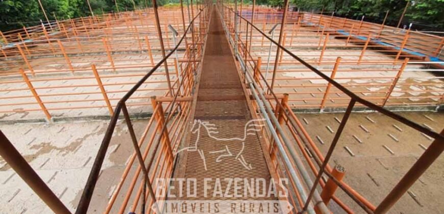 Frigorífico Bovino à Venda 86.000 m² com Projeto de Expanão Aprovado | Aquidauana/MS