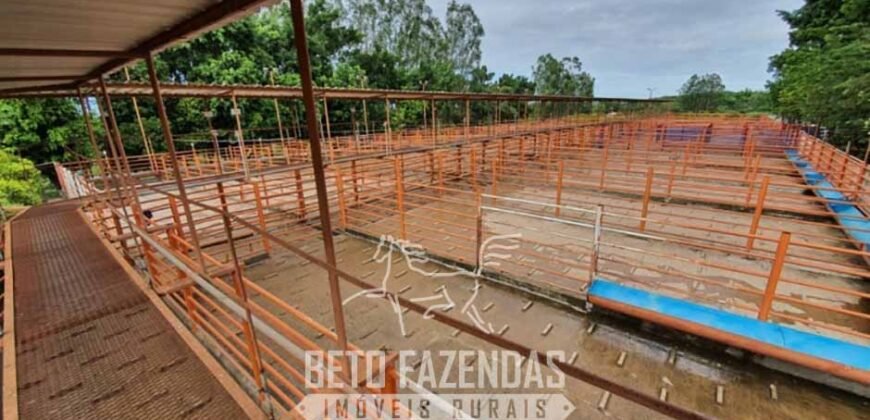 Frigorífico Bovino à Venda 86.000 m² com Projeto de Expanão Aprovado | Aquidauana/MS