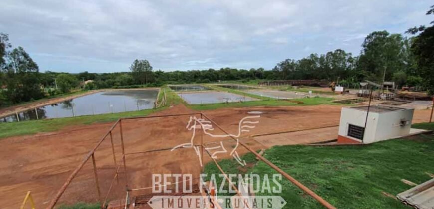 Frigorífico Bovino à Venda 86.000 m² com Projeto de Expanão Aprovado | Aquidauana/MS