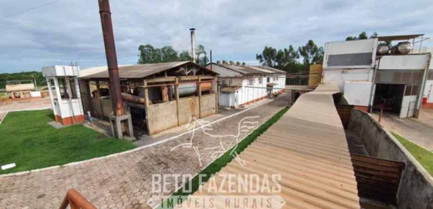 Frigorífico Bovino à Venda 86.000 m² com Projeto de Expanão Aprovado | Aquidauana/MS