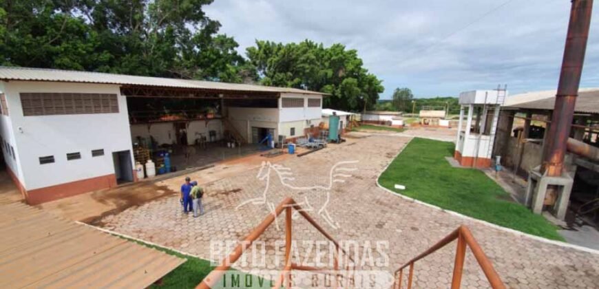 Frigorífico Bovino à Venda 86.000 m² com Projeto de Expanão Aprovado | Aquidauana/MS