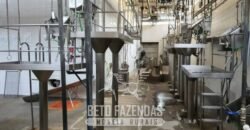 Frigorífico Bovino à Venda 86.000 m² com Projeto de Expanão Aprovado | Aquidauana/MS